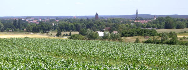 Blick vom Galgenberg auf Gardelegen Blick vom Galgenberg auf Gardelegen