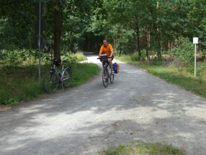Radweg im Forst