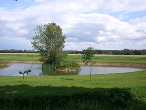 Landschaft in der Altmark Landschaft in der Altmark
