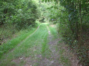 schlechter Radweg schlechter Radweg