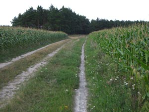 Altmarkrundkurs Altmarkrundkurs