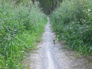 Radweg Parchen Radweg Parchen
