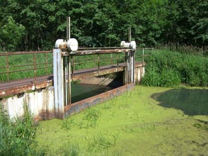 Fluss Tanger Weißewarte Fluss Tanger Weißewarte