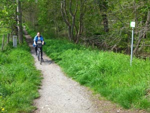 Radweg in Unseburg