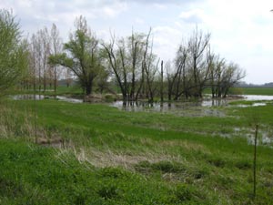 Landschaft zwischen Wolmirsleben und Unseburg