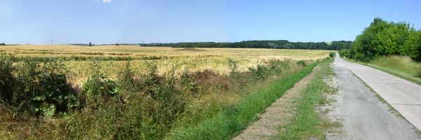 Bördelandschaft vor Ampfurth