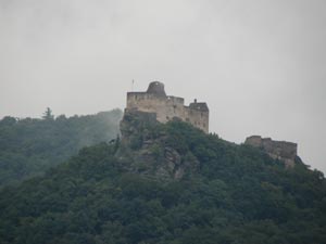 Burgruine in der Wachau