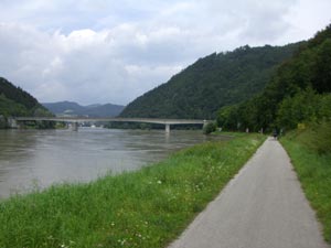 Donauradweg vor Grein Donauradweg vor Grein