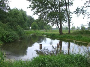 Wasserlandschaft in der Lewitz