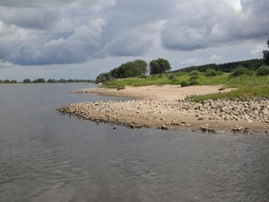 Elbe Fähre