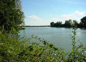 am Elsterstausee