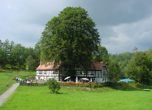 Gasthaus Lochbauer im Elstertal