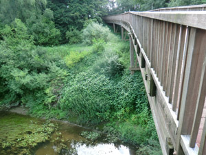 Emsradweg Holzbrücke