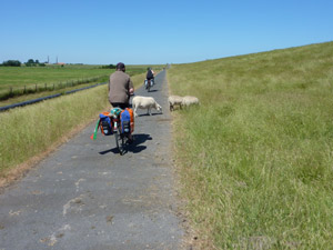 Emsradweg hinter Leer Emsradweg hinter Leer