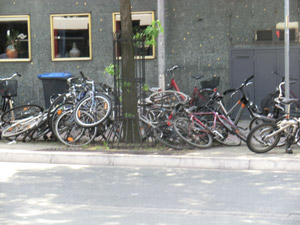Münster Fahrräder