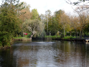 Fuhne in Wolfen Fuhne in Wolfen