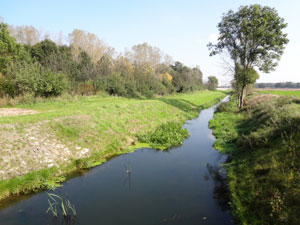 Fuhneradweg hinter Glauzig