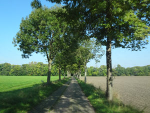 Fuhneradweg Fuhneradweg