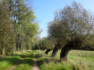 Waldgebiet nahe der Quelle