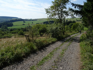 Weg zwischen Fuldaquelle und Gersfeld