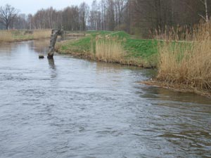 Alt Zauche Nordumfluter Alt Zauche Nordumfluter