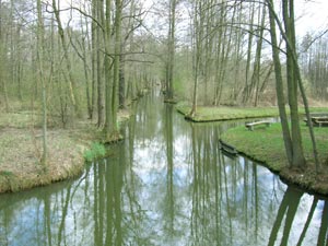 Spreewald-Landschaft Spreewald-Landschaft