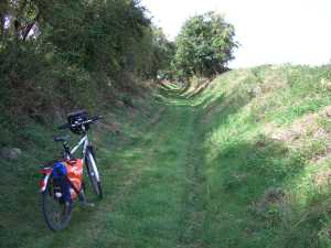 Wiesenweg Wiesenweg