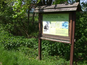 Schautafel im Holundertal