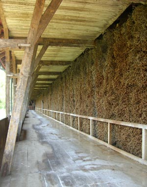 Gradierwerk Bad Sulza Gradierwerk Bad Sulza