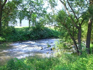 Ilm in Großheringen Ilm in Großheringen
