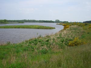 Blick zum Drömling Blick zum Drömling