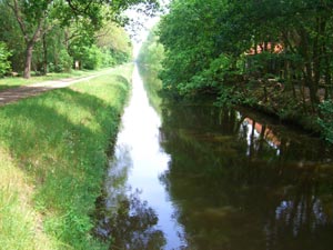 Blick auf die Ohre an der Drömling-Information