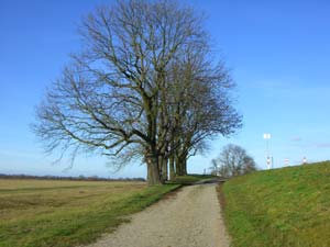 Weg am Deich Weg am Deich