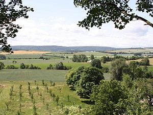 Landschaft Südharz