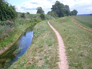 Wiesenweg an der Wipper Wiesenweg an der Wipper