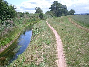 Wiesenweg an der Wipper