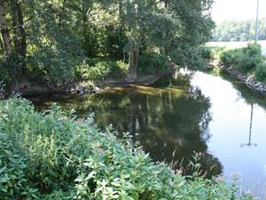 Zusammenfluss Main Zusammenfluss Main