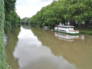 Schiff Fee auf Neckar