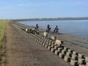 Nordseeküstenradweg Nordseeküstenradweg