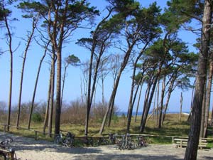 Strand bei Ahrenshoop