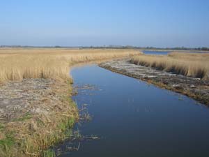 Ostseeküsten-Radweg