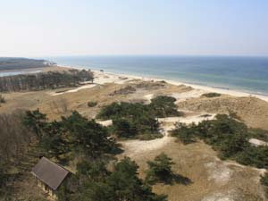 Blick vom Leuchtturm Darßer Ort