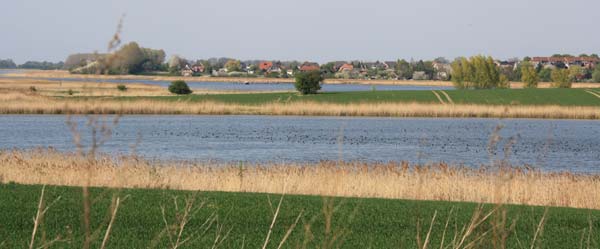 kurz vor Wismar kurz vor Wismar