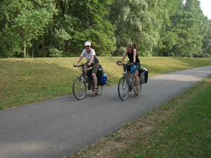 auf dem Rheinradweg