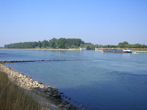 Landschaft am Rhein