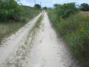 sandiger Weg als Radweg sandiger Weg als Radweg