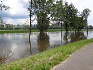 Hochwasser bei Burg im Spreewald
