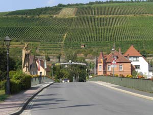 Weinort Markelsheim Tauber