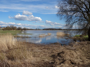 Elberadweg Lostau