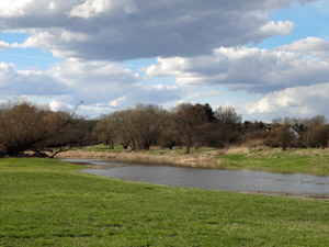 Elberadweg Lostau